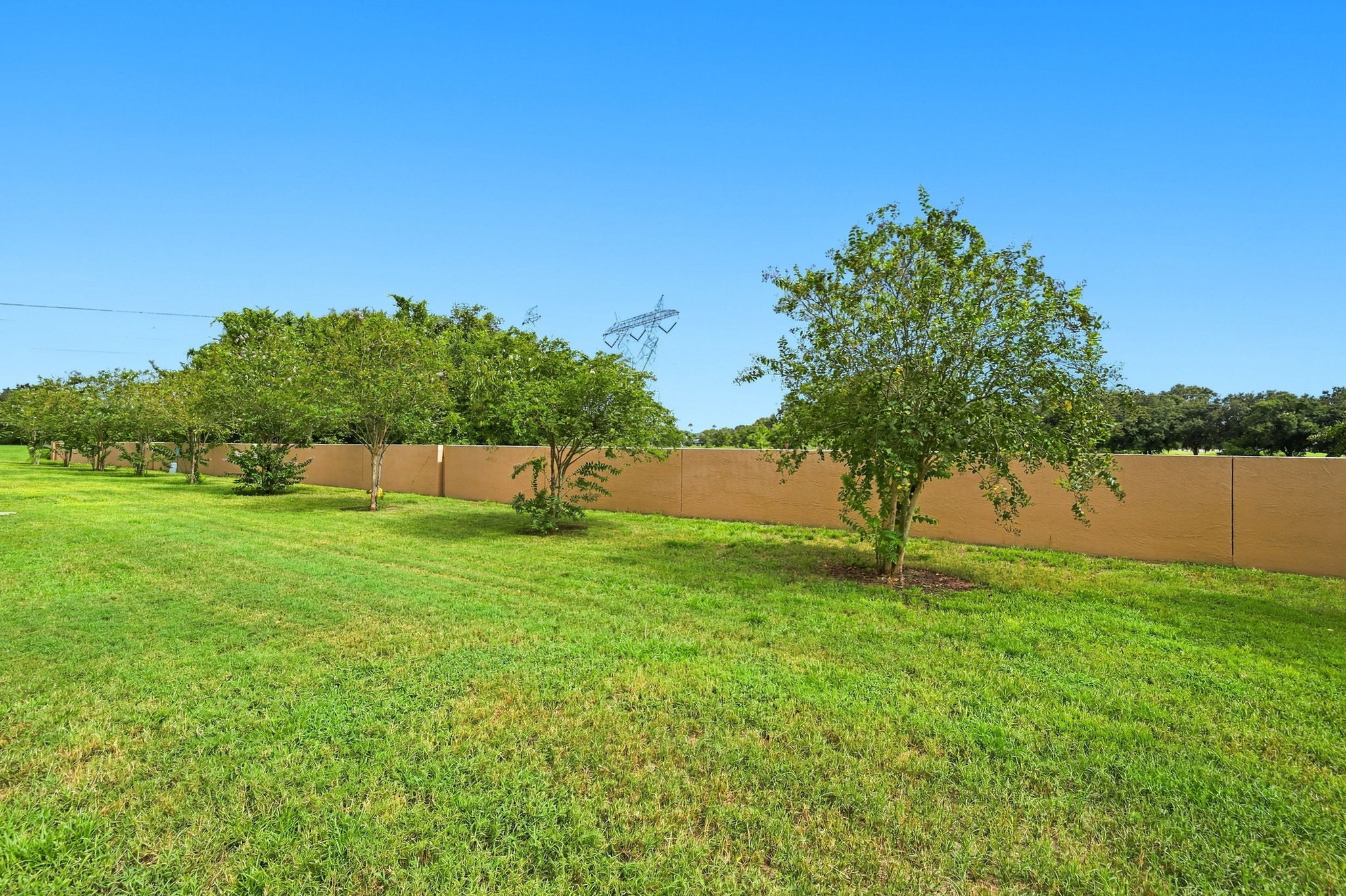 Backyard2