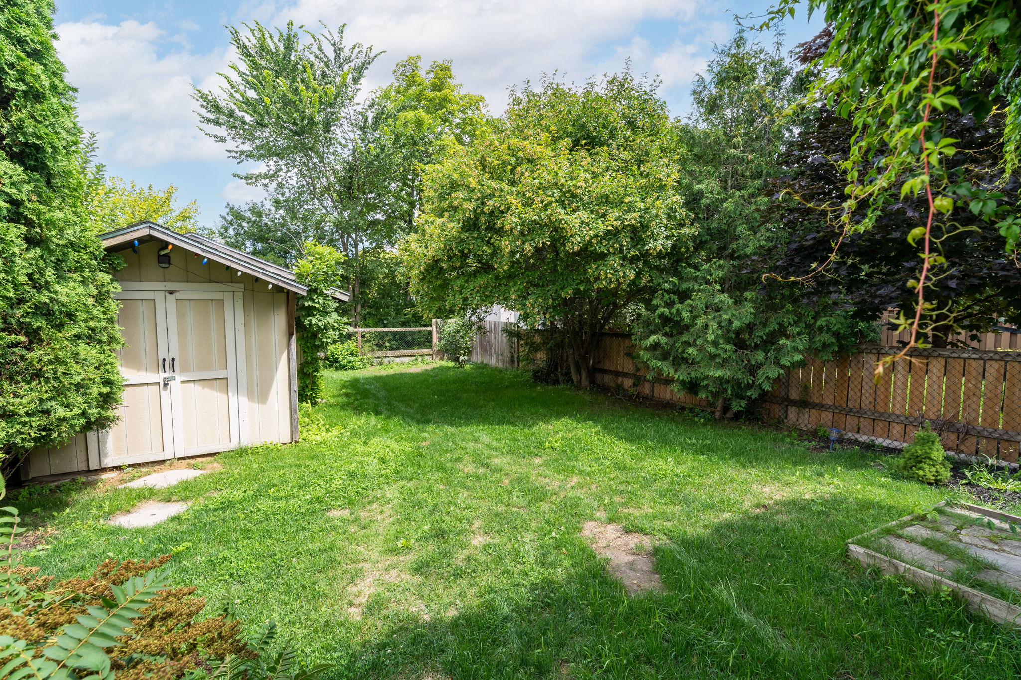 Backyard