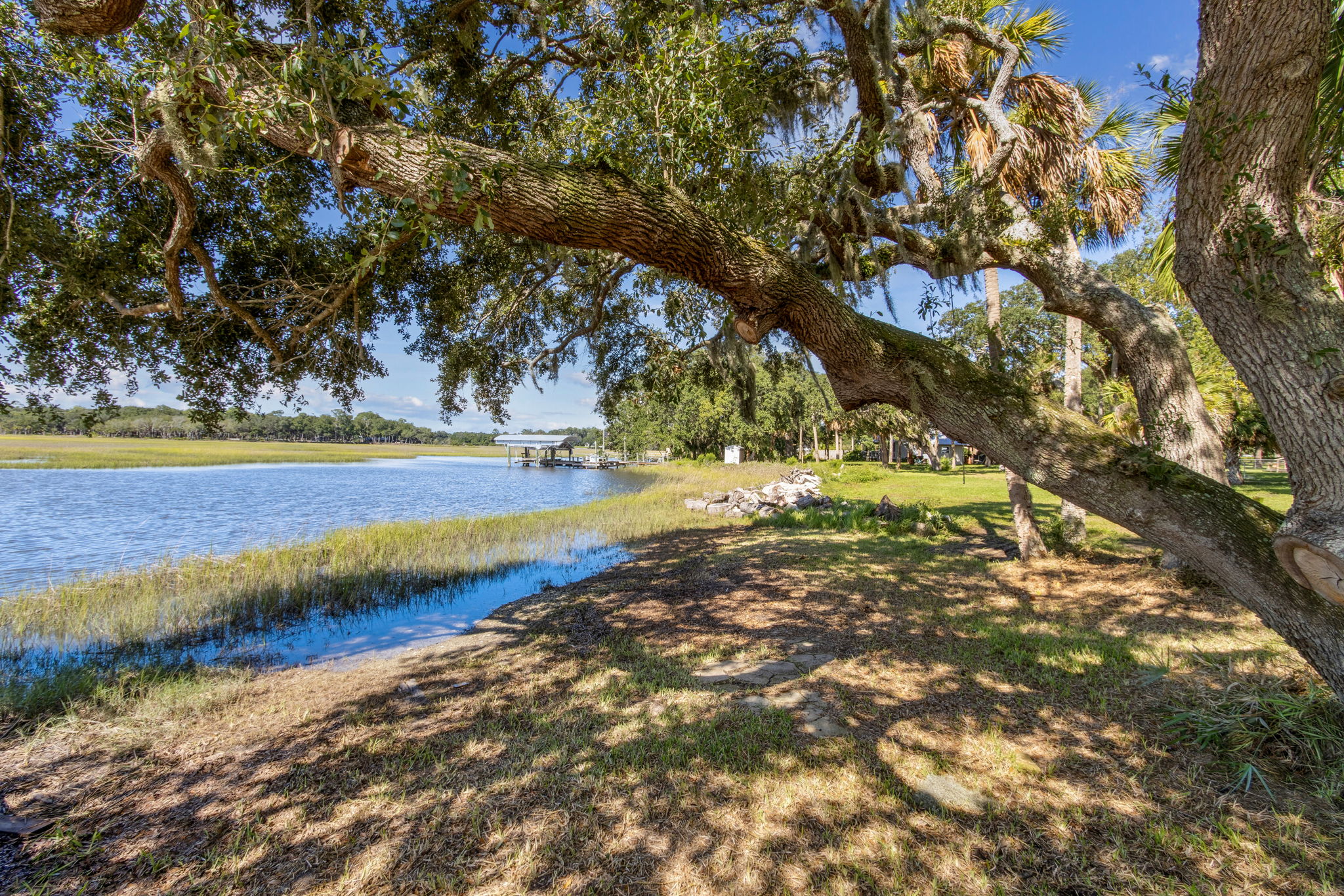 Eastern View from Back Yard