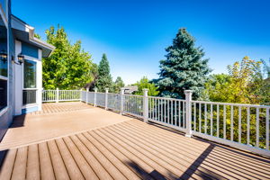 Upper level deck area