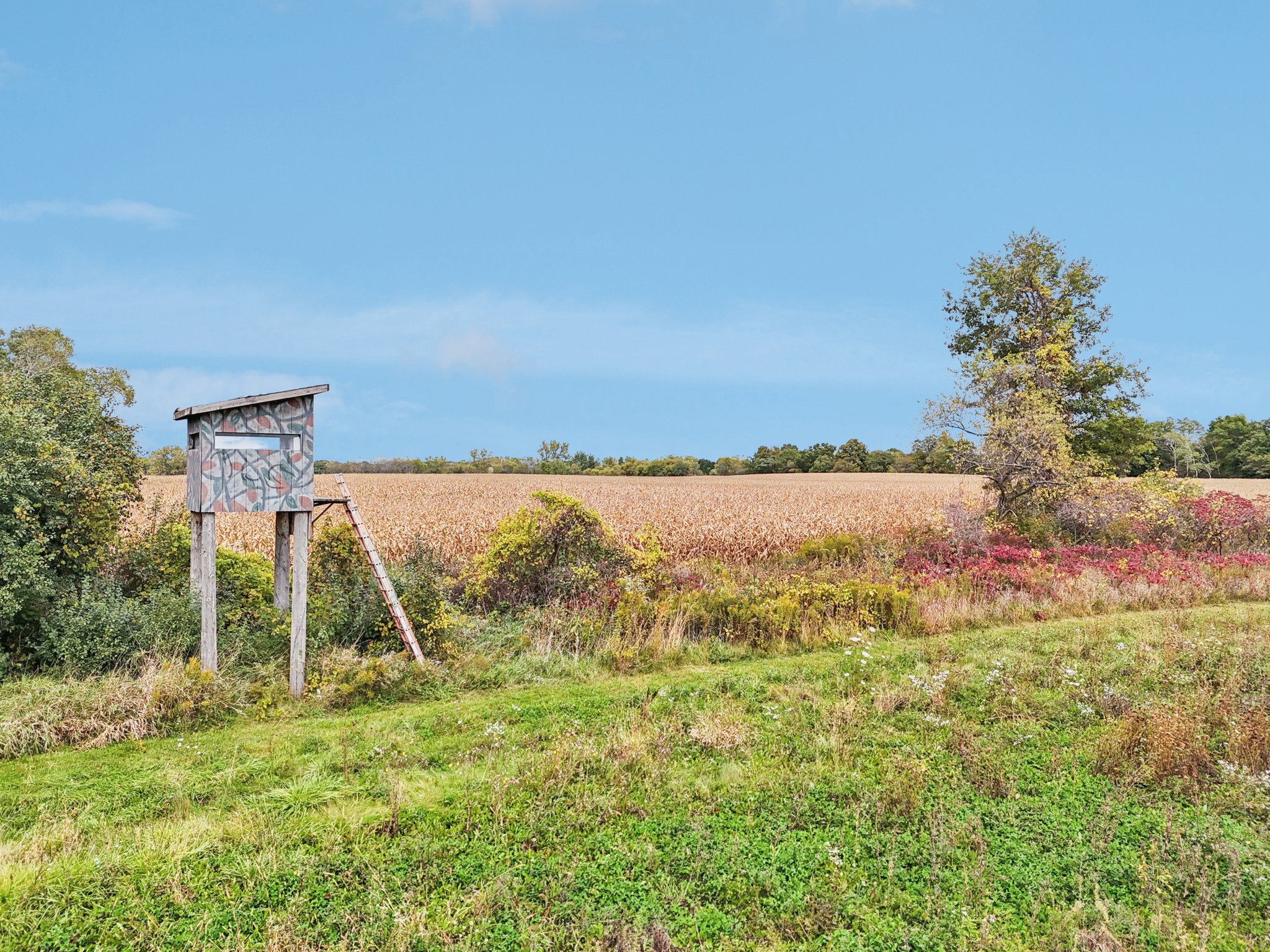 W 7 Mile Rd-S1210-055.jpg