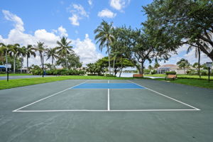 Pickleball...of course
