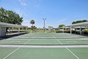 9798 Sugarberry Way. Fort Myers-2503-917.jpg