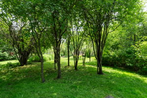  Photo 52