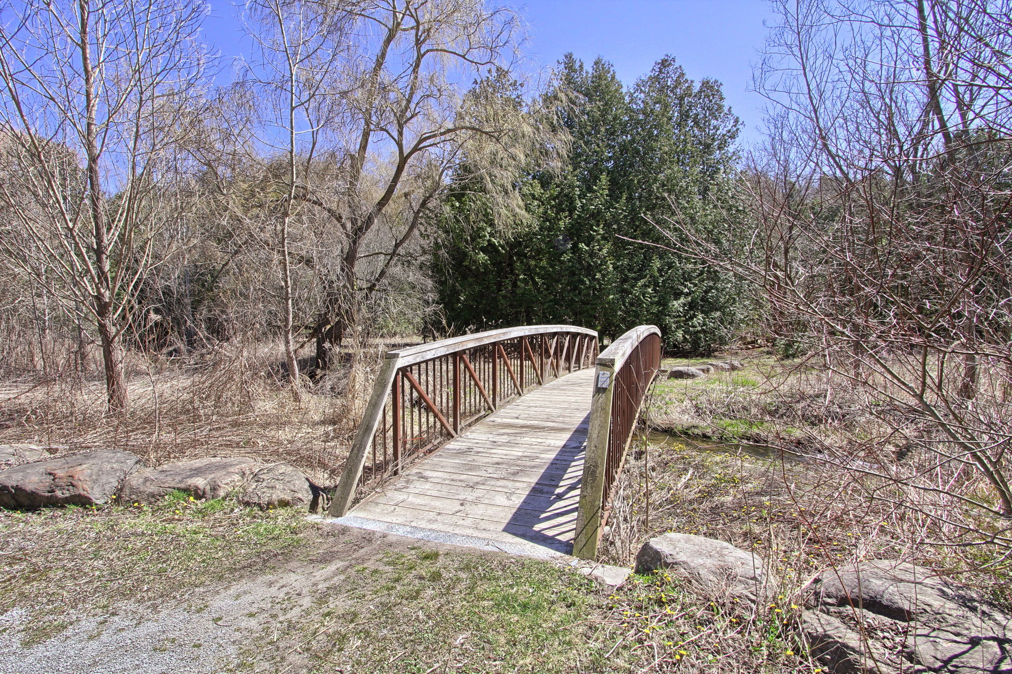  Photo 41