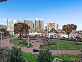 Community Courtyard with direct access to the water