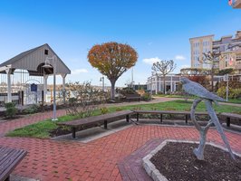 Take the water taxi to Harbor Point to enjoy its parks, restaurants and shopping