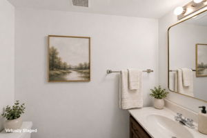 Lower Level Powder Room
