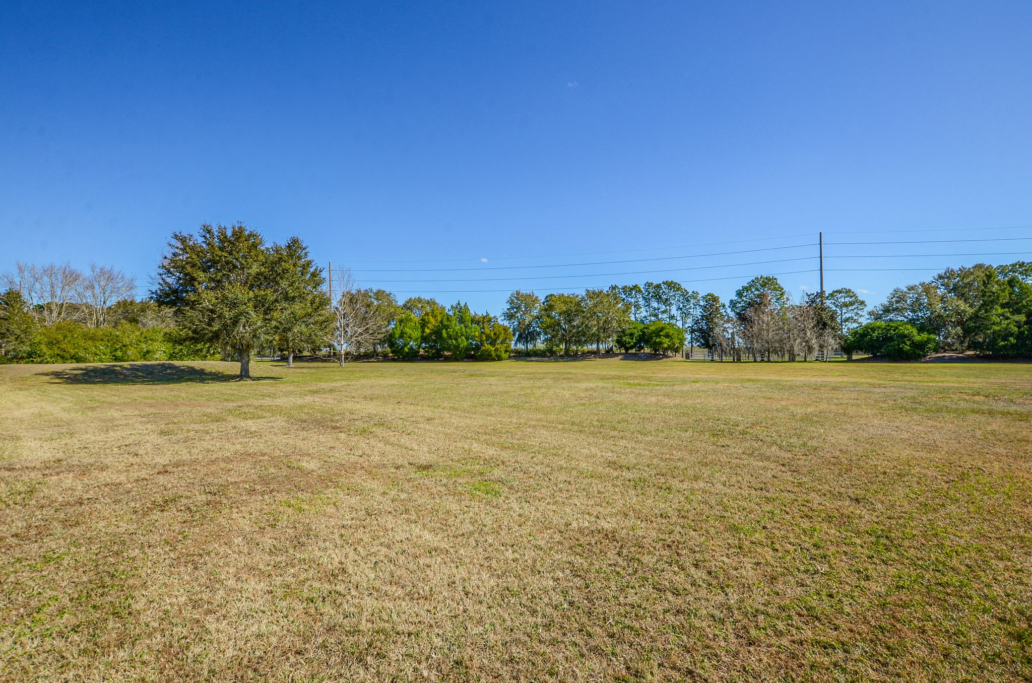 9802 Preakness Stakes Way, Dade City, FL 33525, USA Photo 46