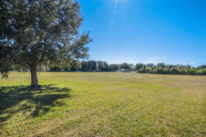 9802 Preakness Stakes Way, Dade City, FL 33525, USA Photo 48