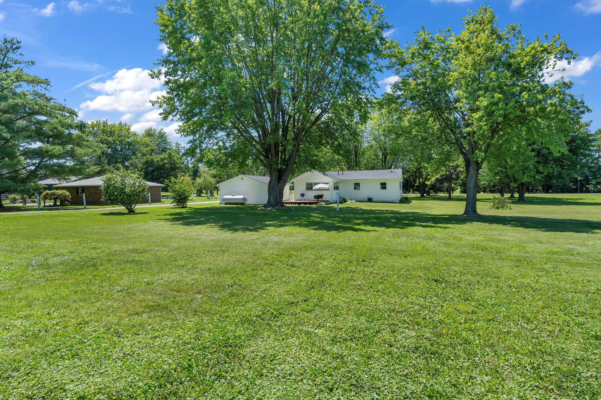  Photo 55