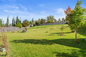  Photo 49