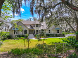 Gorgeous Live Oaks with Spanish Moss