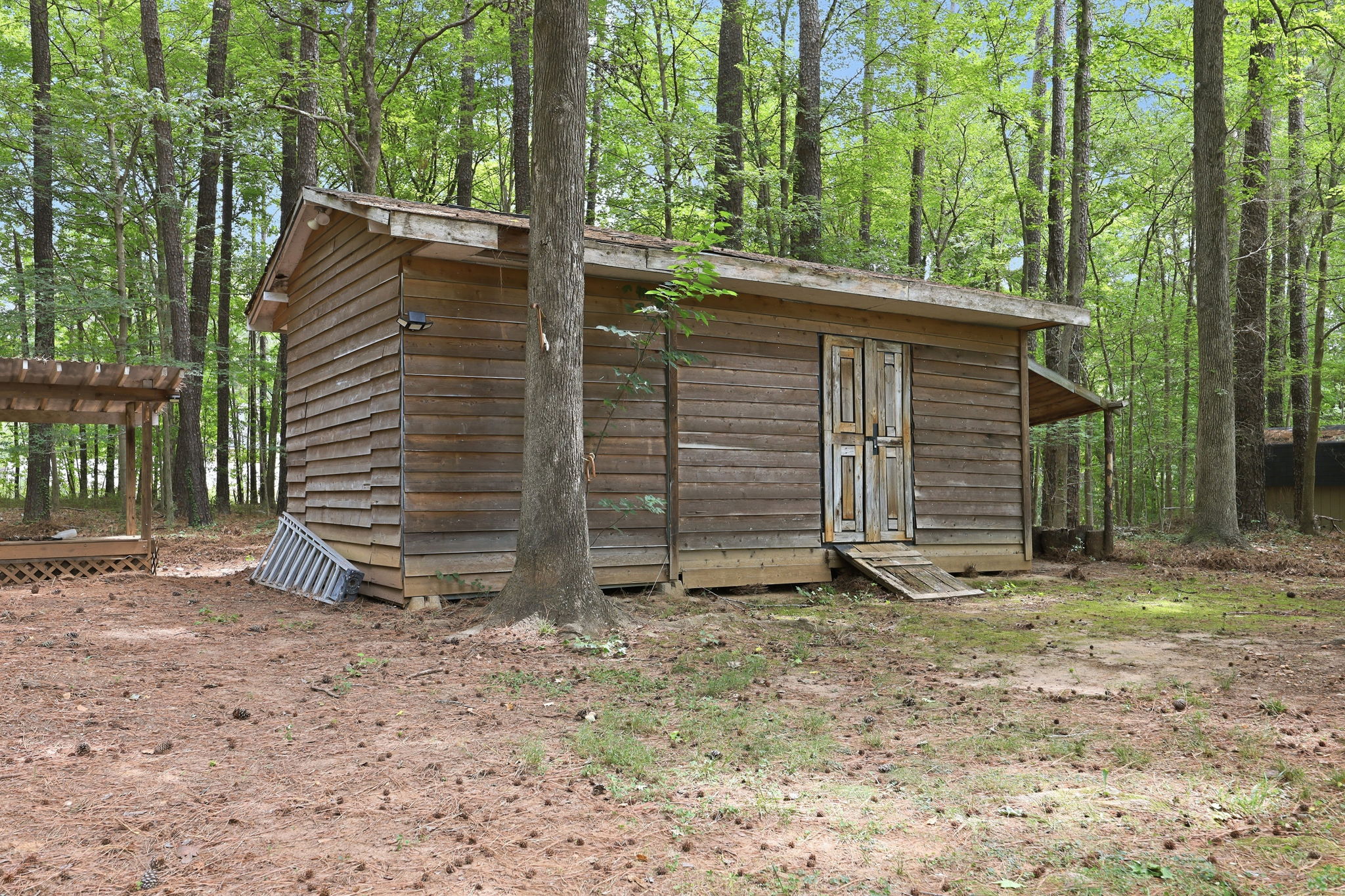  Photo 48