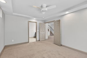 Lower Level - Bedroom