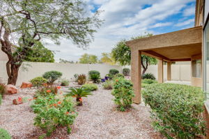Dusty Winds Ave-046