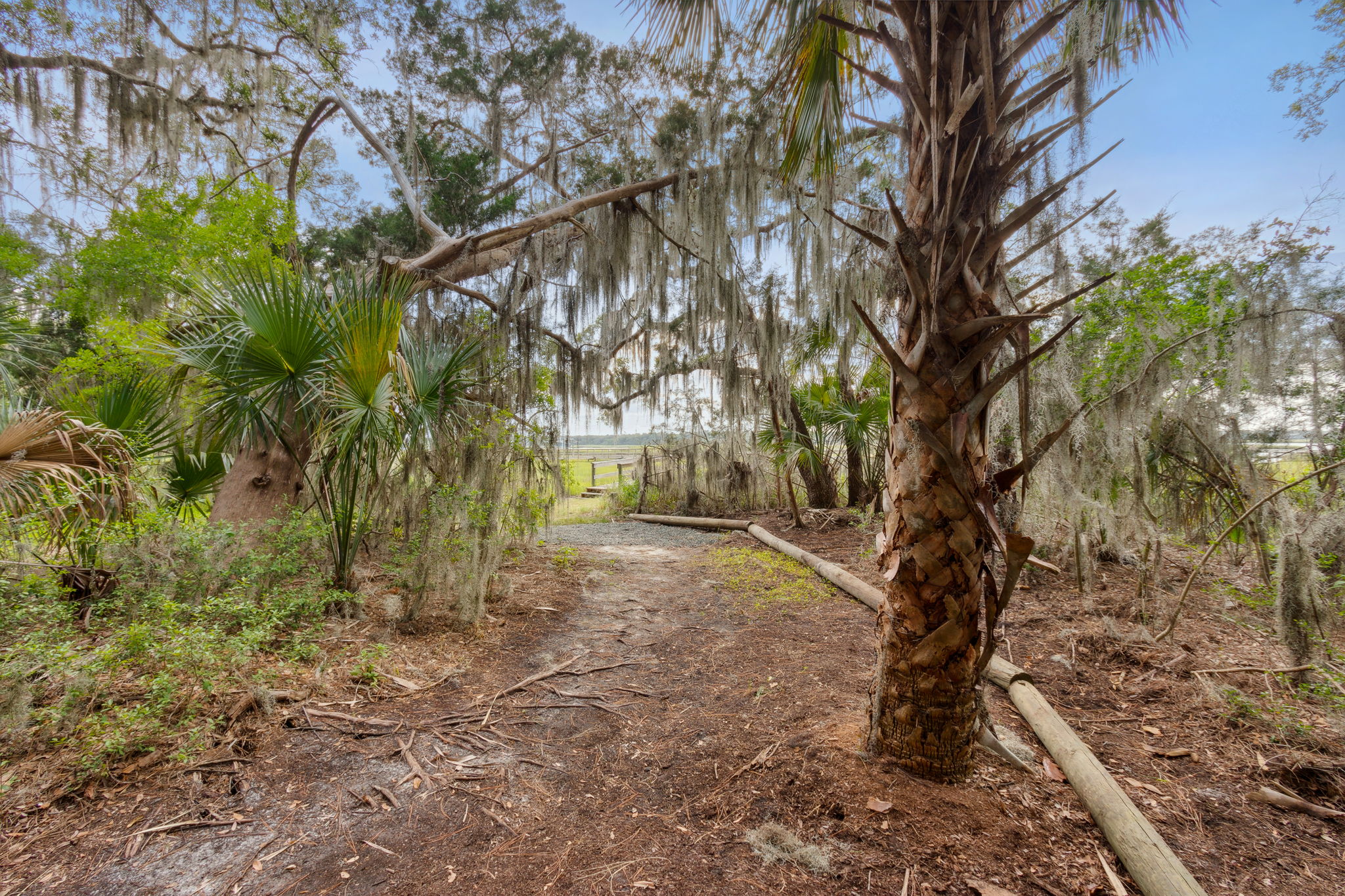 Enchanting walk to dock from house