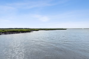 View to the north toward Georgia