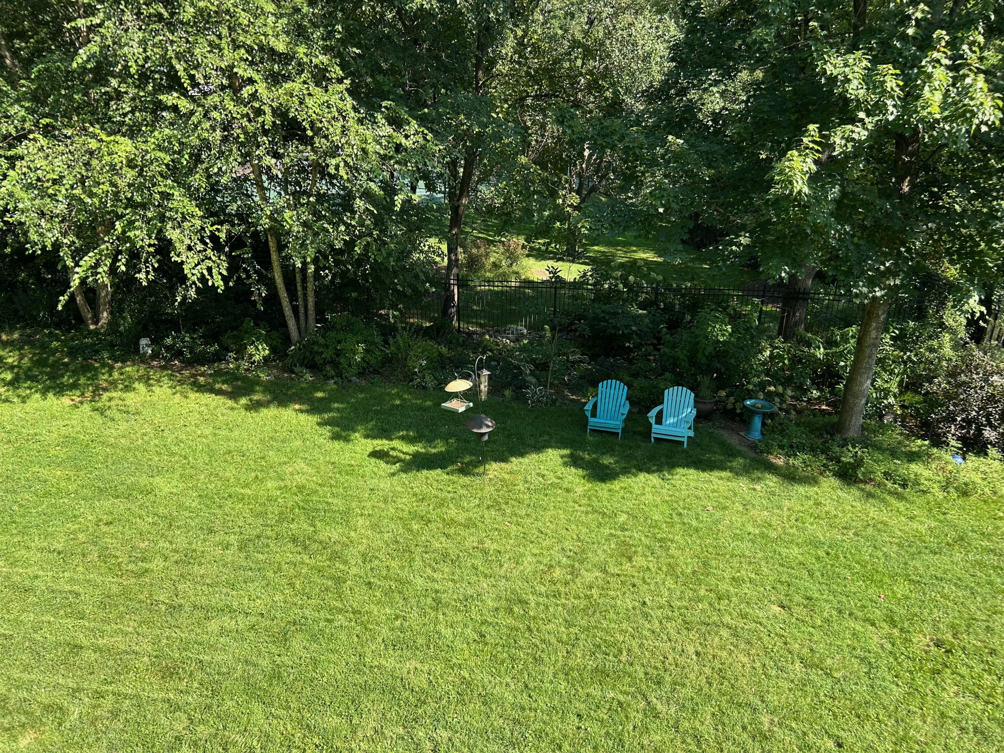 Backyard View from Deck