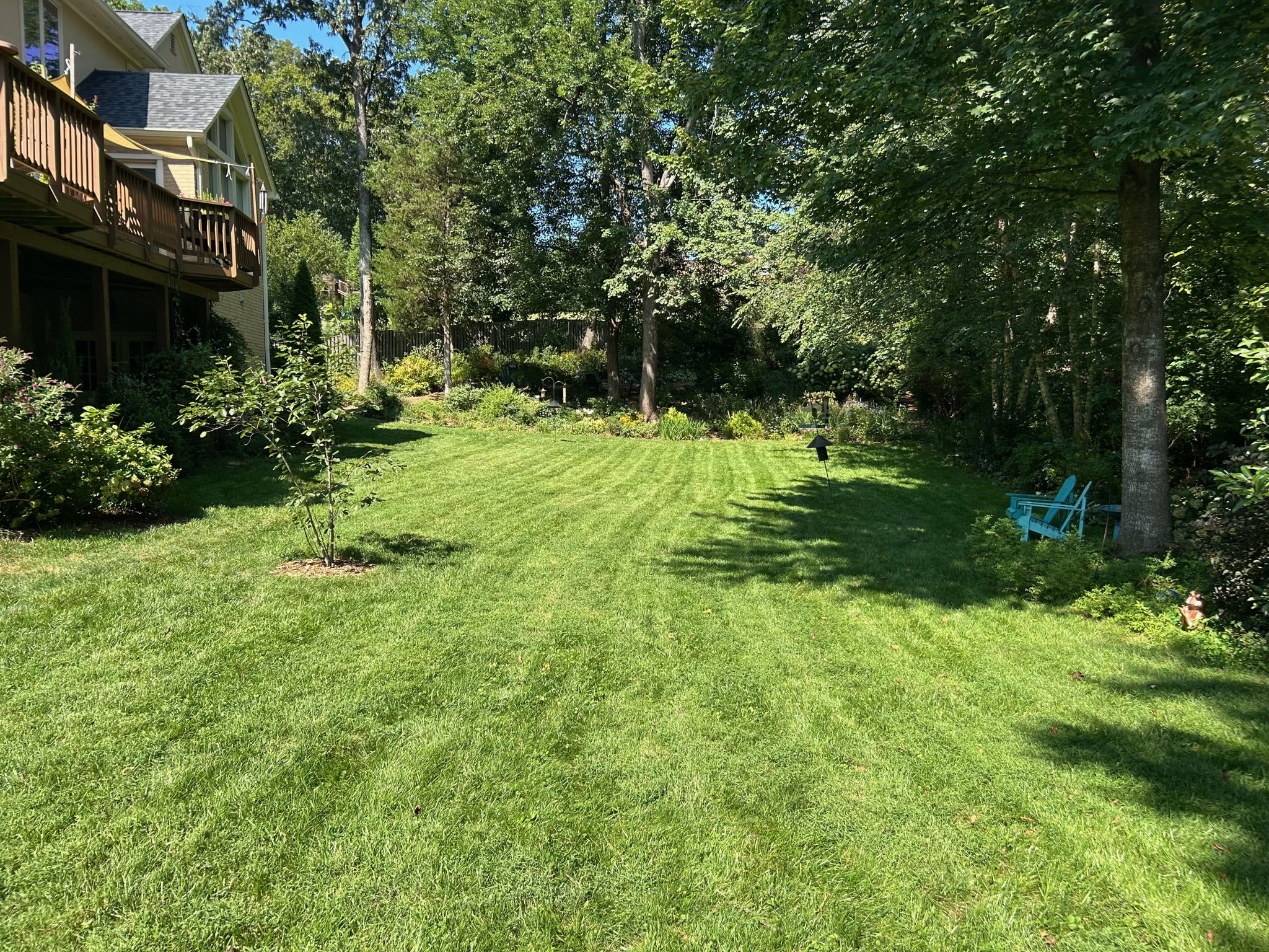 Rear Yard