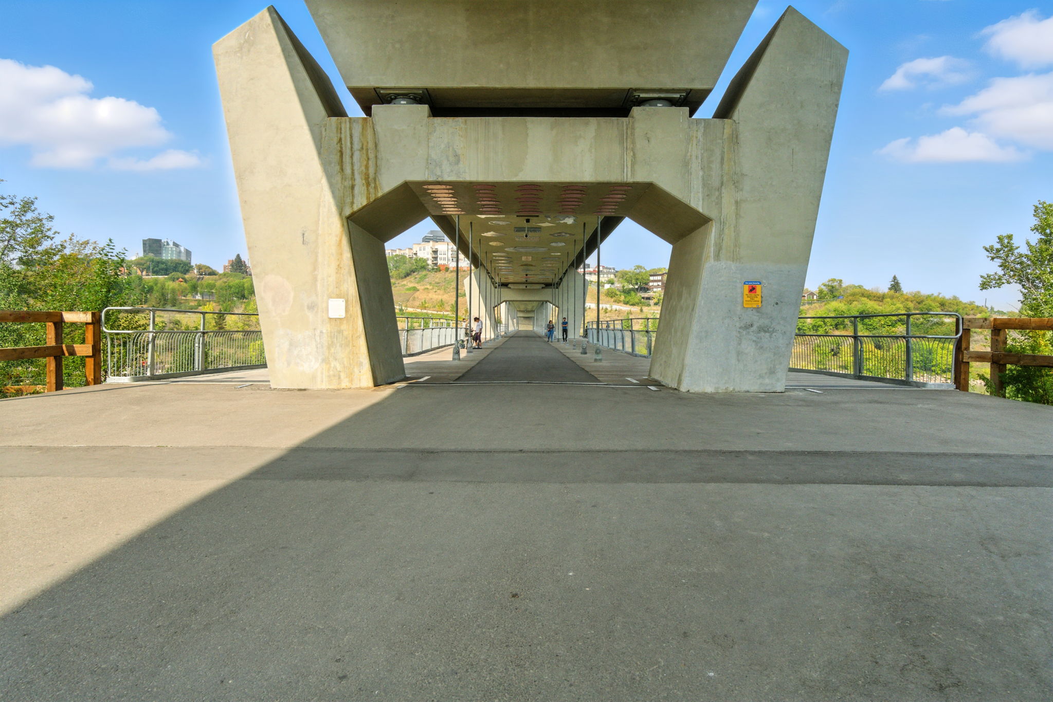  Photo 50