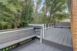 Carlisle Rd-058