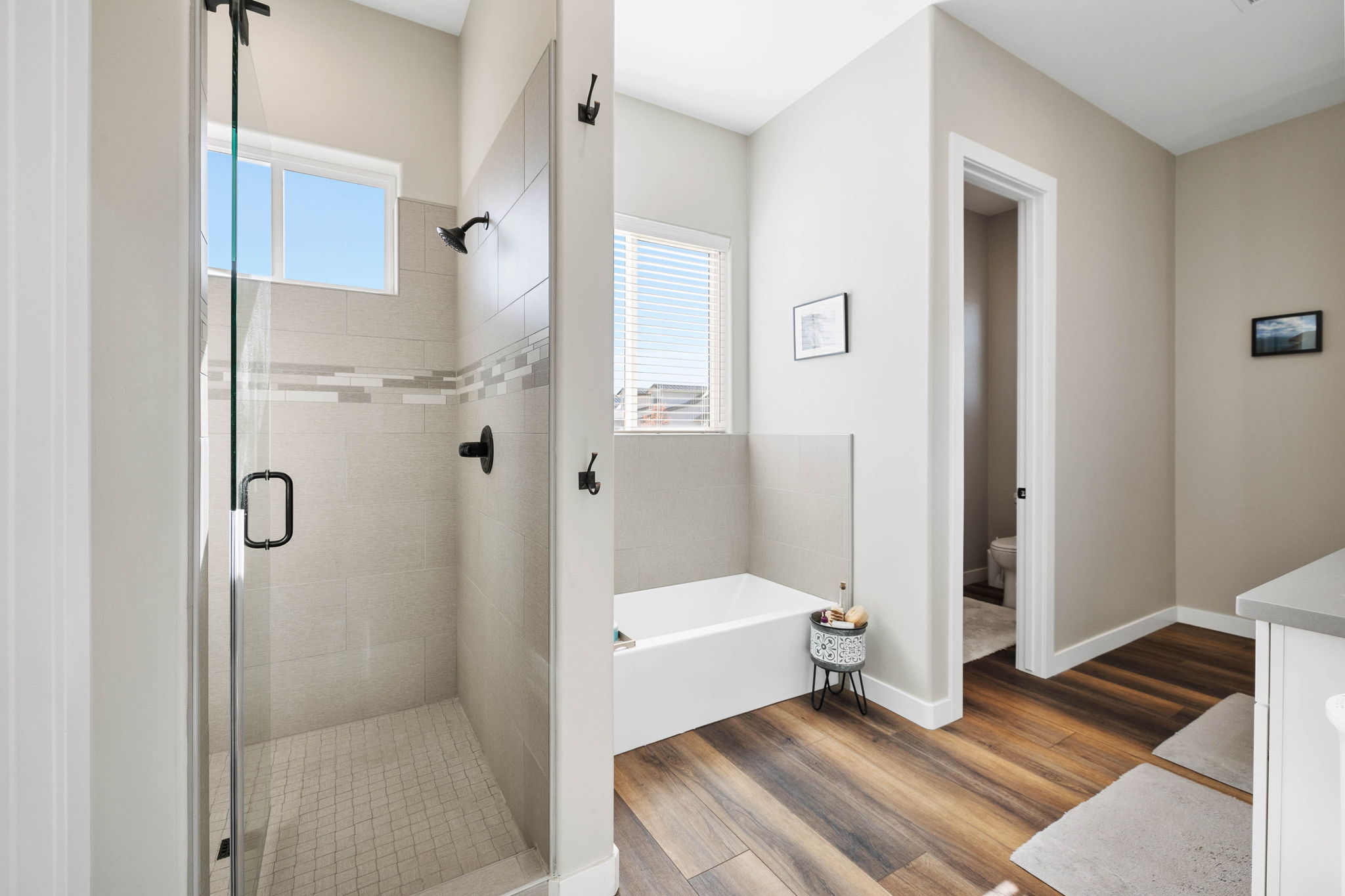 Primary Bathroom (2)