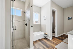 Primary Bathroom (2)