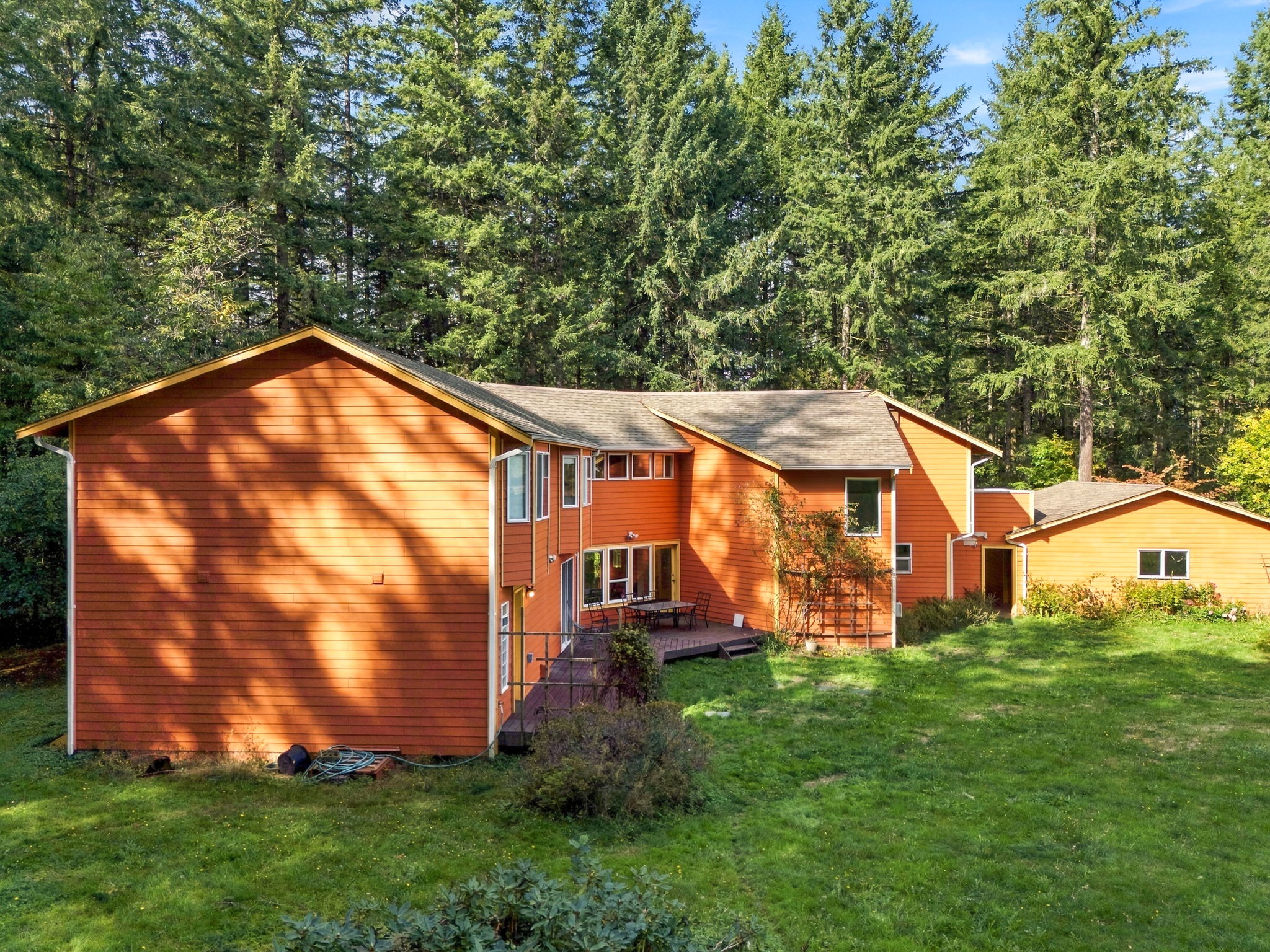  Photo 43