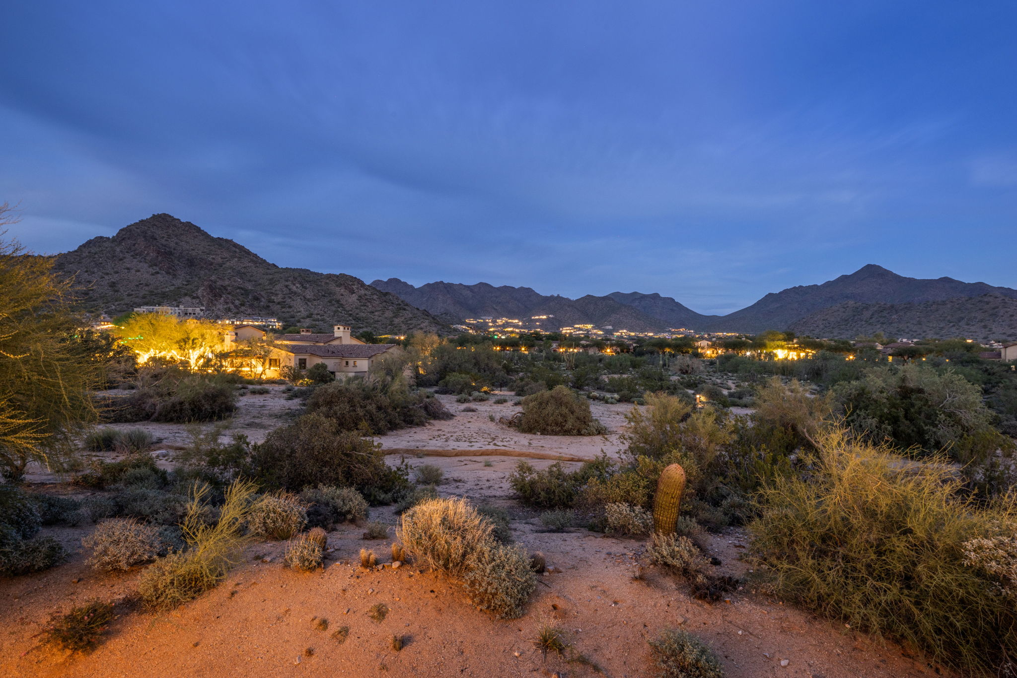 Silverleaf Evening Glow