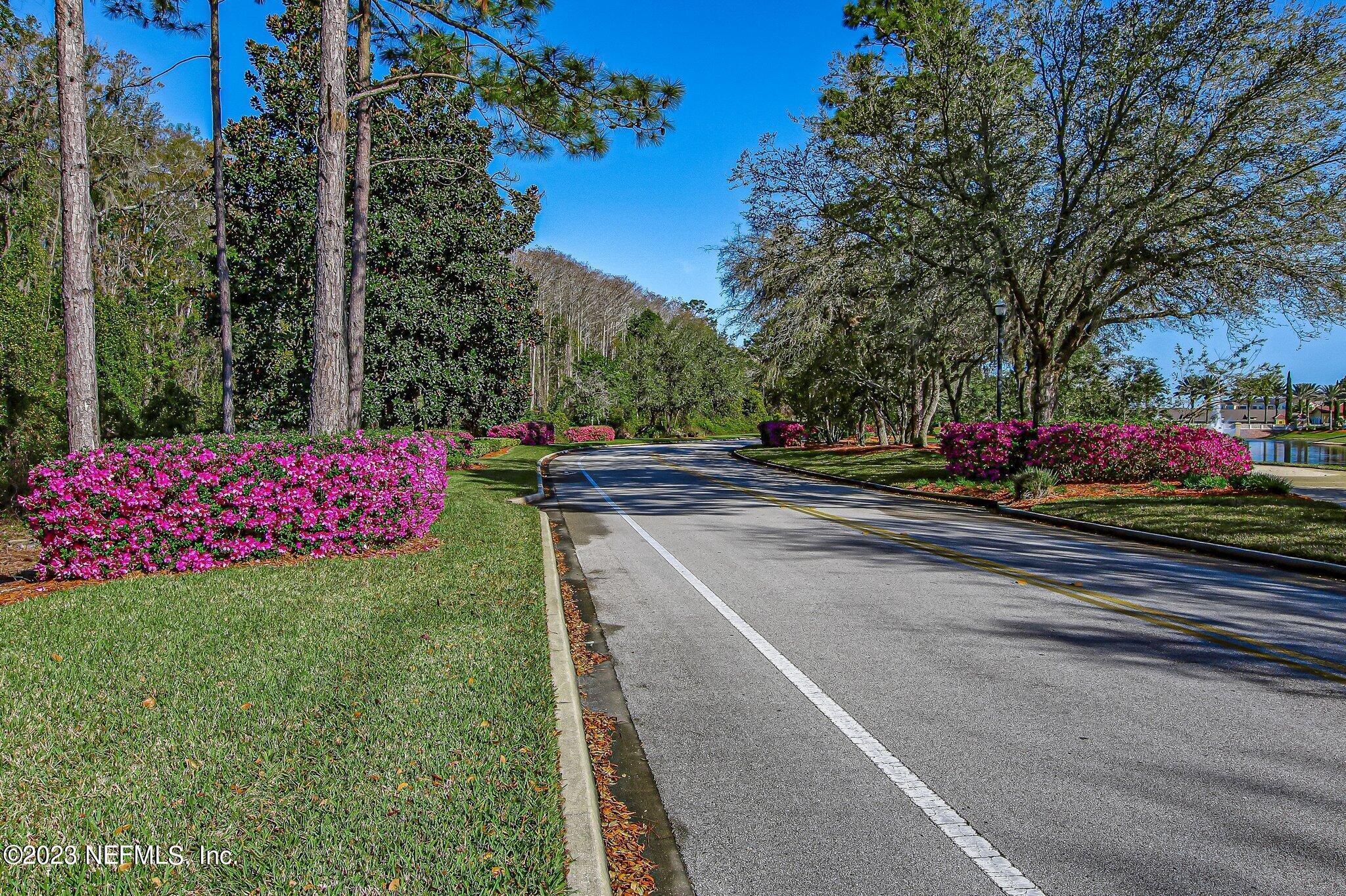Sweetwater Main Road with Azaleas Blooming