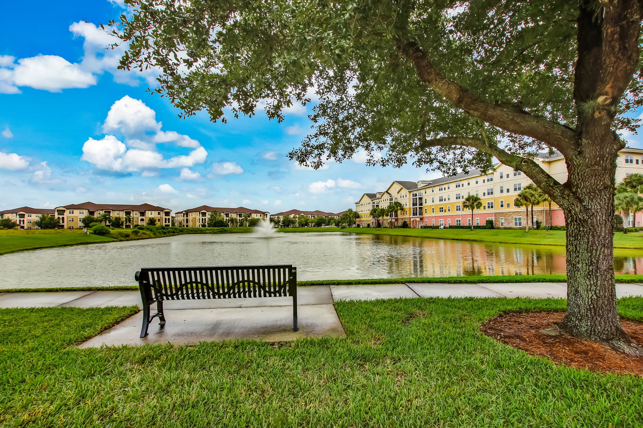 Tranquil Pond View