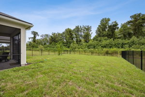 Private Back Yard