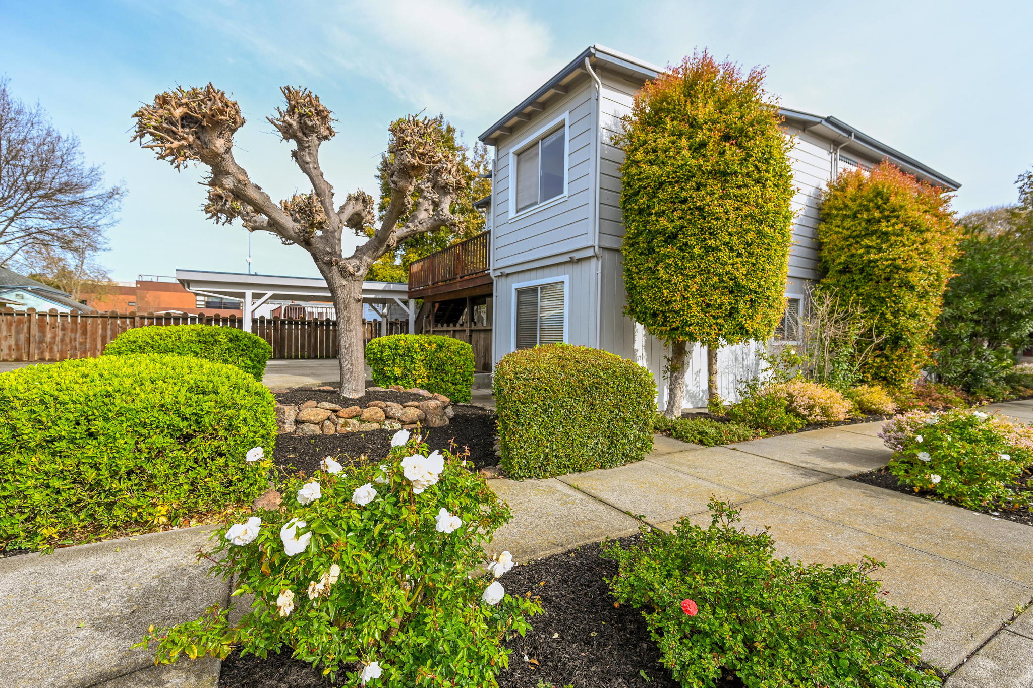 984 Tennent Ave, Pinole, CA 94564, USA Photo 2