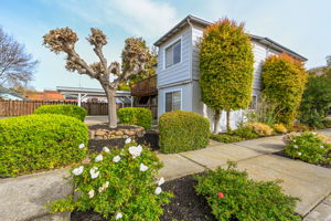 984 Tennent Ave, Pinole, CA 94564, USA Photo 1