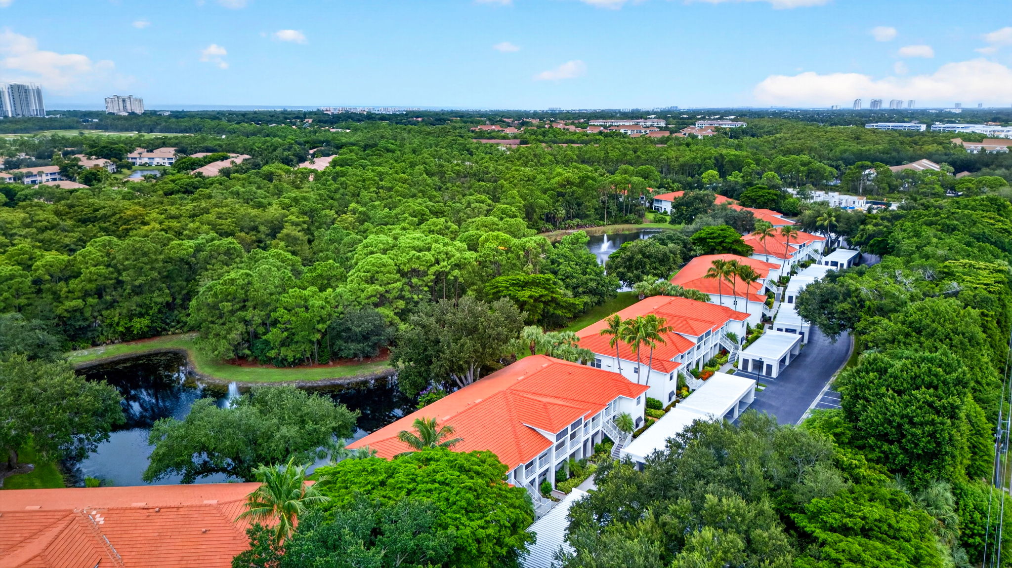 Aerial Front Exterior 3