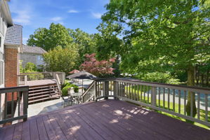 Rear Patio Leading to Pool Area