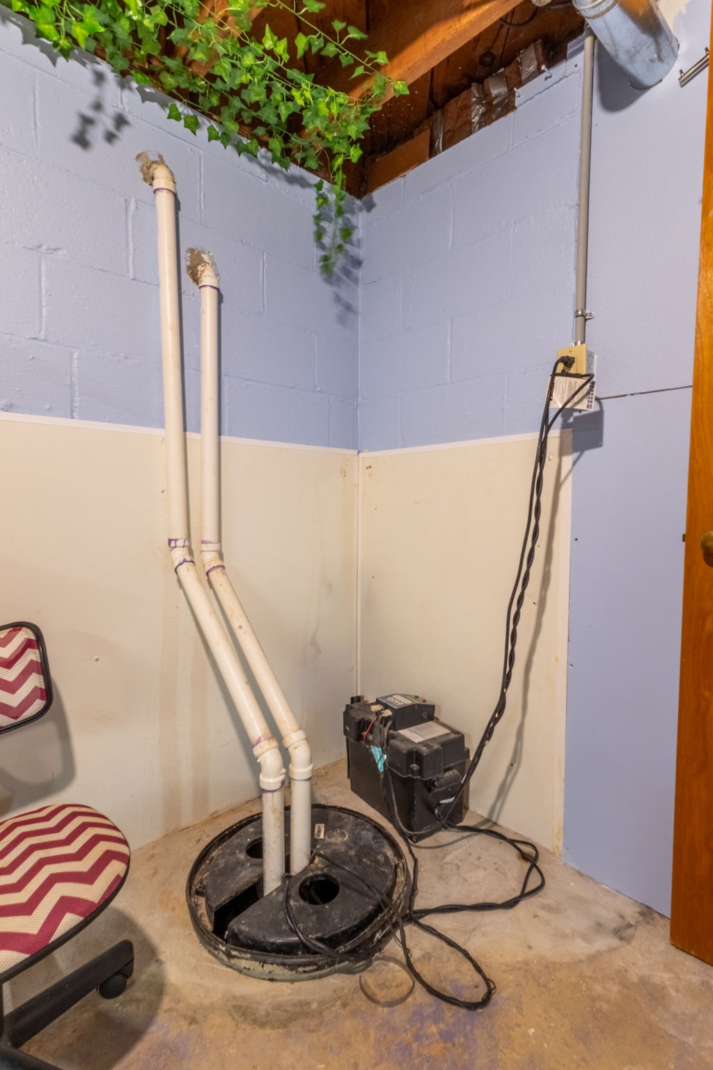  Photo 43