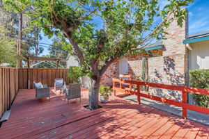 007_987 Selby Ln  San