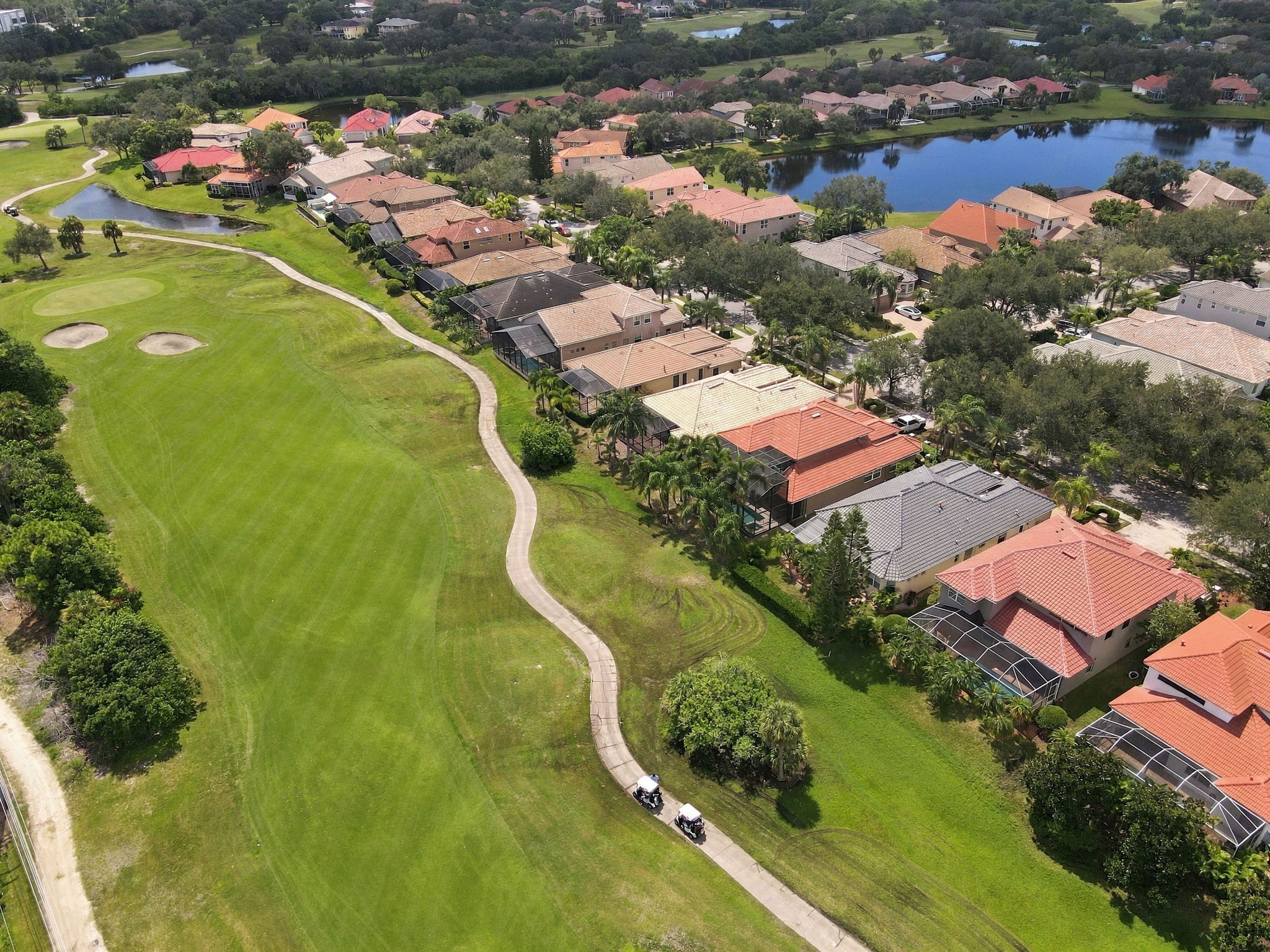 Aerial (16)