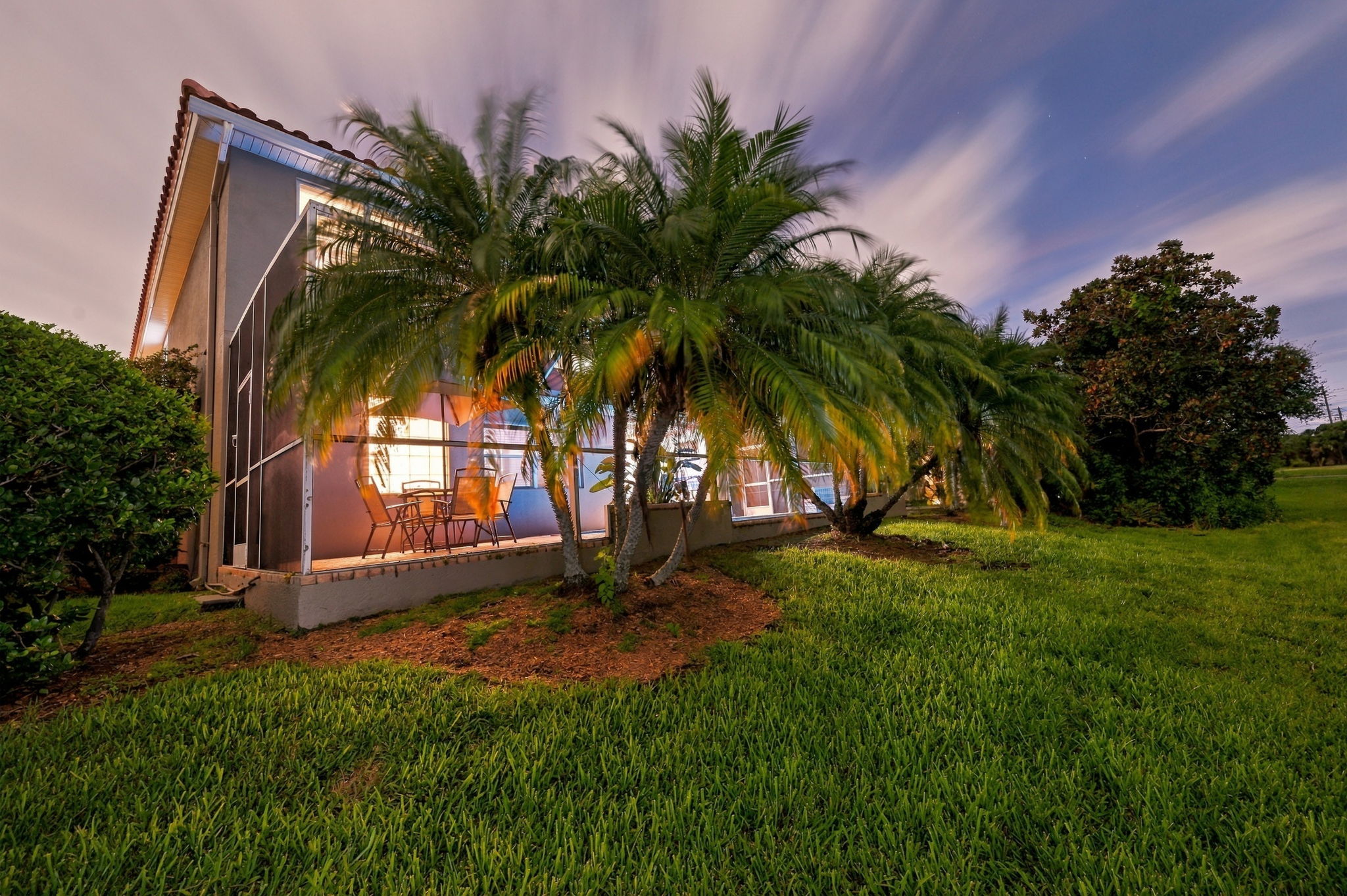 Backyard42