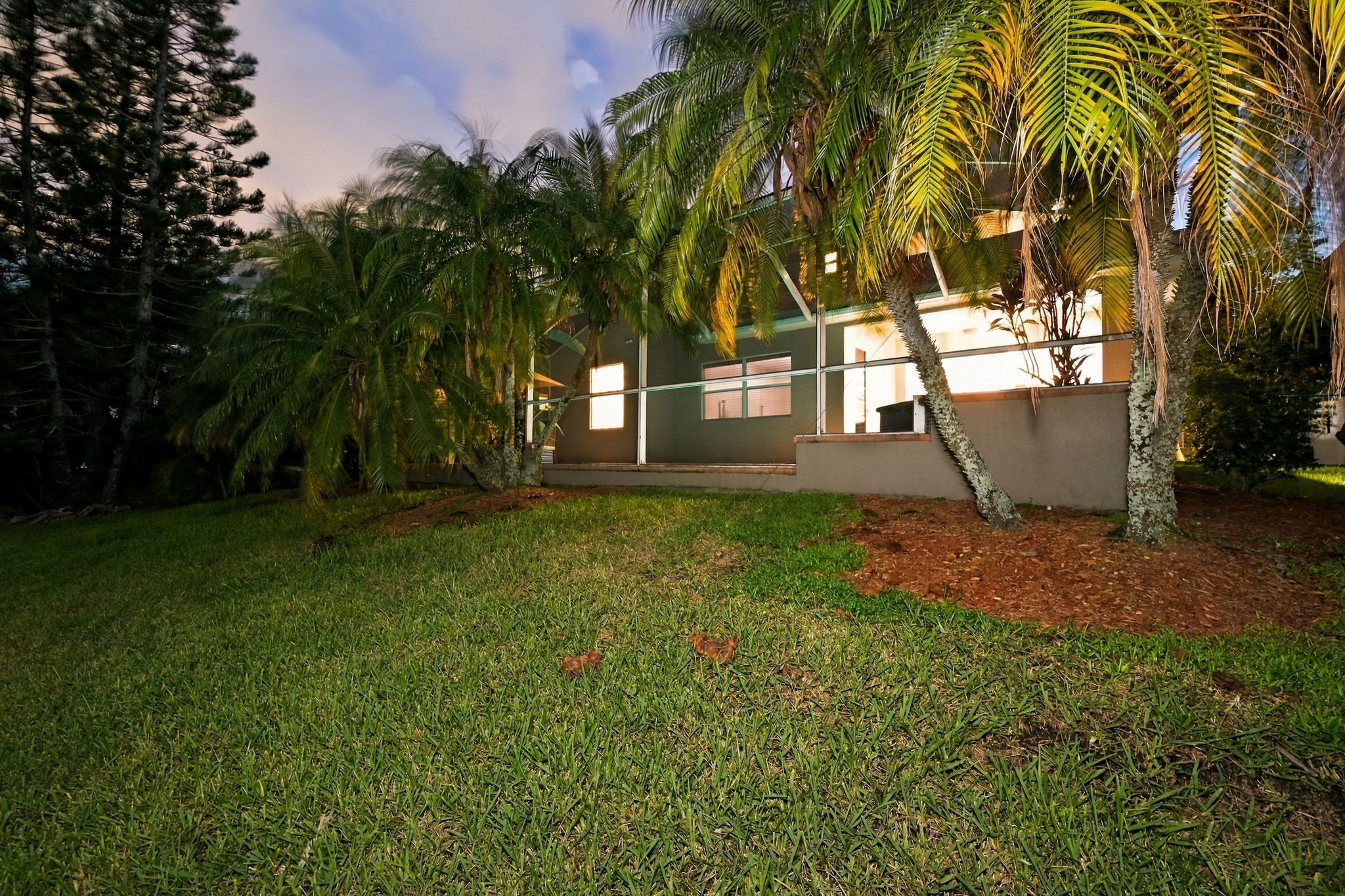 Backyard63