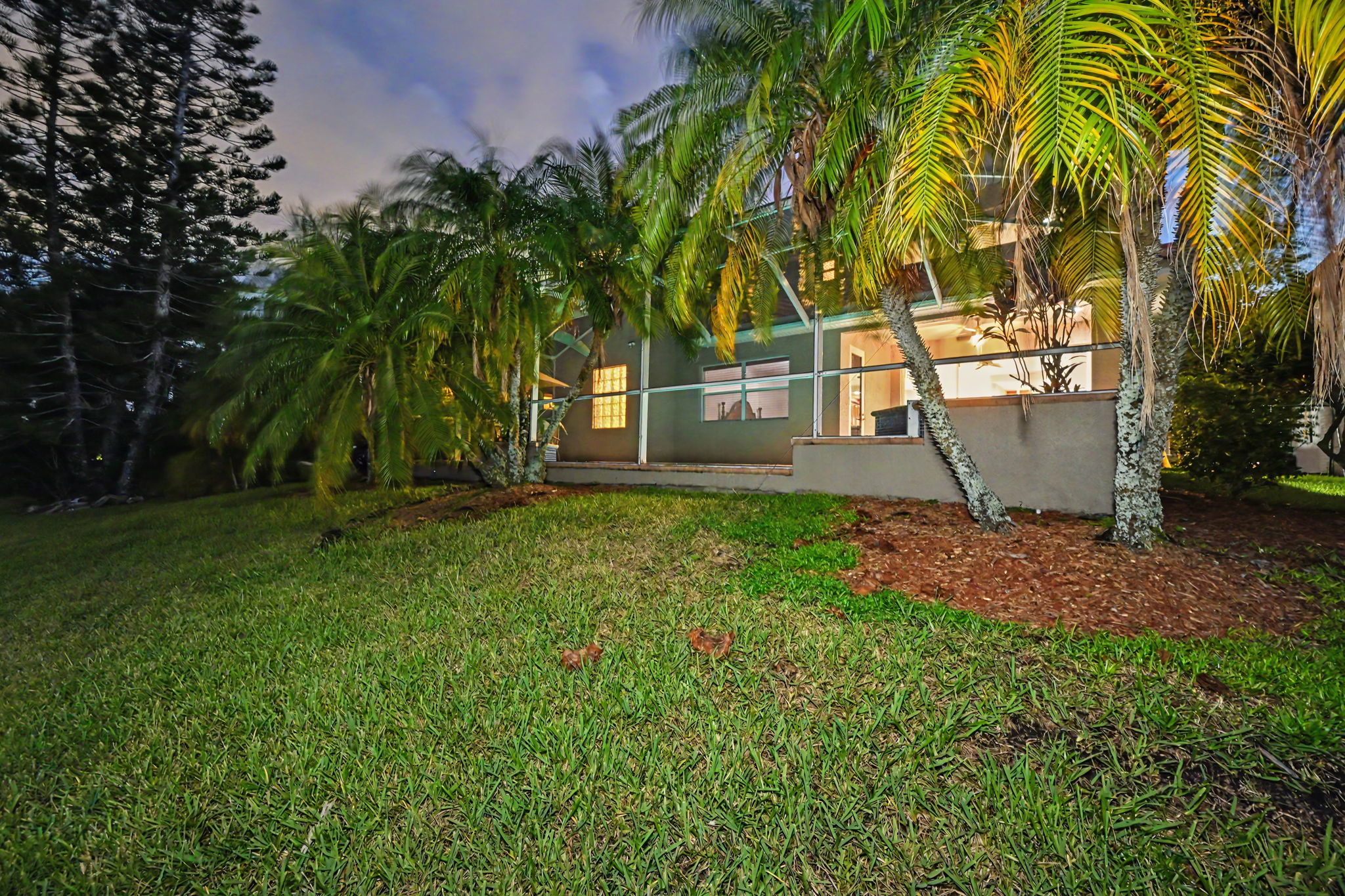Backyard60
