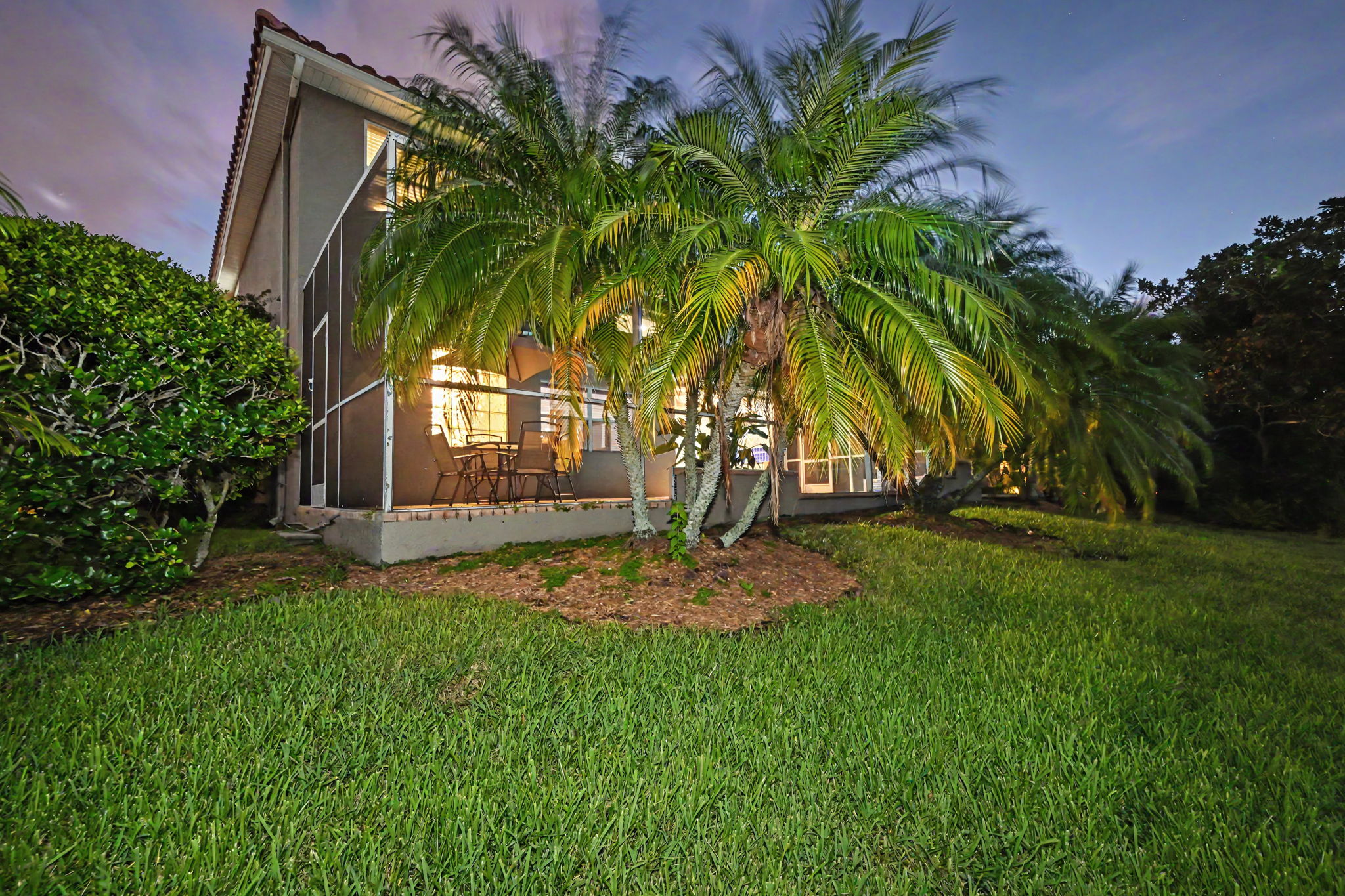 Backyard62
