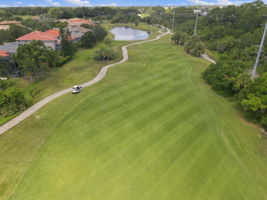 Aerial (10)