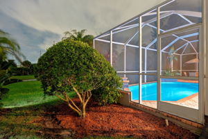 Backyard40