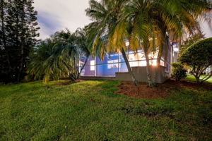 Backyard41