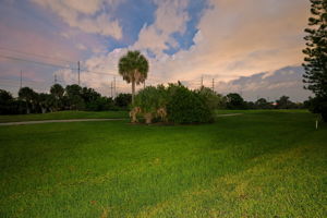 Backyard60