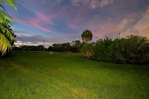 Backyard61