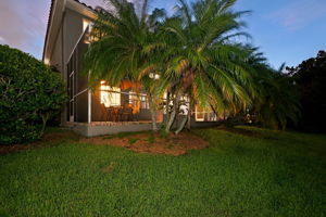 Backyard62
